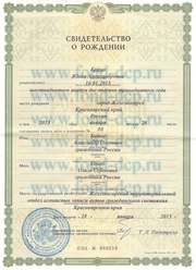 документ ДЦП