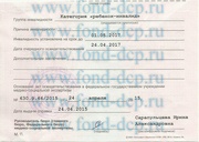 документ ДЦП